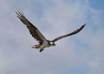 Mental Health Minute: Are You Stuck? Part 6… MOVE!