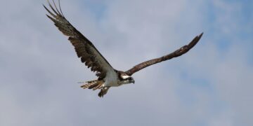 Mental Health Minute: Are You Stuck? Part 6… MOVE!