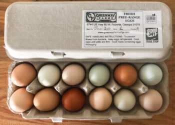 Egg Prices Are Cracking Wallets: Why Local Farms Are The Answer