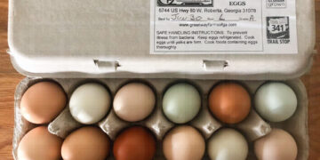 Egg Prices Are Cracking Wallets: Why Local Farms Are The Answer