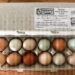 Egg Prices Are Cracking Wallets: Why Local Farms Are The Answer
