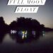 Come Float in The Full Moon Light