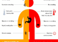 PUBLIC SAFETY CORNER: HEAT AND HYDRATION