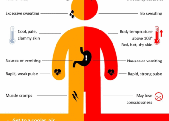 PUBLIC SAFETY CORNER: HEAT AND HYDRATION