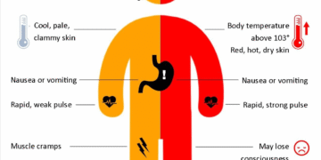 PUBLIC SAFETY CORNER: HEAT AND HYDRATION
