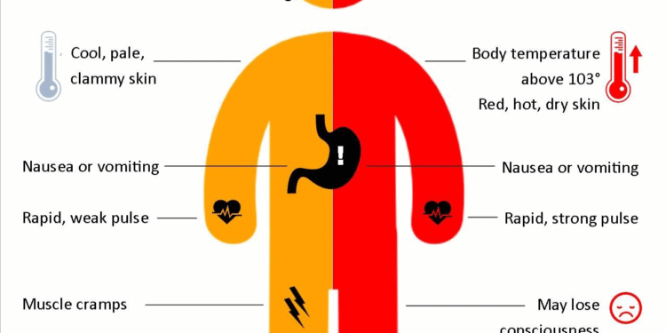 PUBLIC SAFETY CORNER: HEAT AND HYDRATION