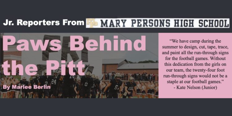 Paws Behind the Pitt